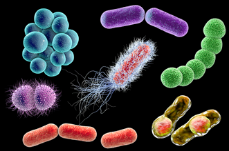 檢測(cè)細(xì)菌微生物的儀器都有哪些？