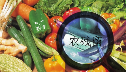 農(nóng)藥殘留檢測儀結(jié)果無法上傳是什么原因？農(nóng)藥殘留檢測儀的故障排除方法